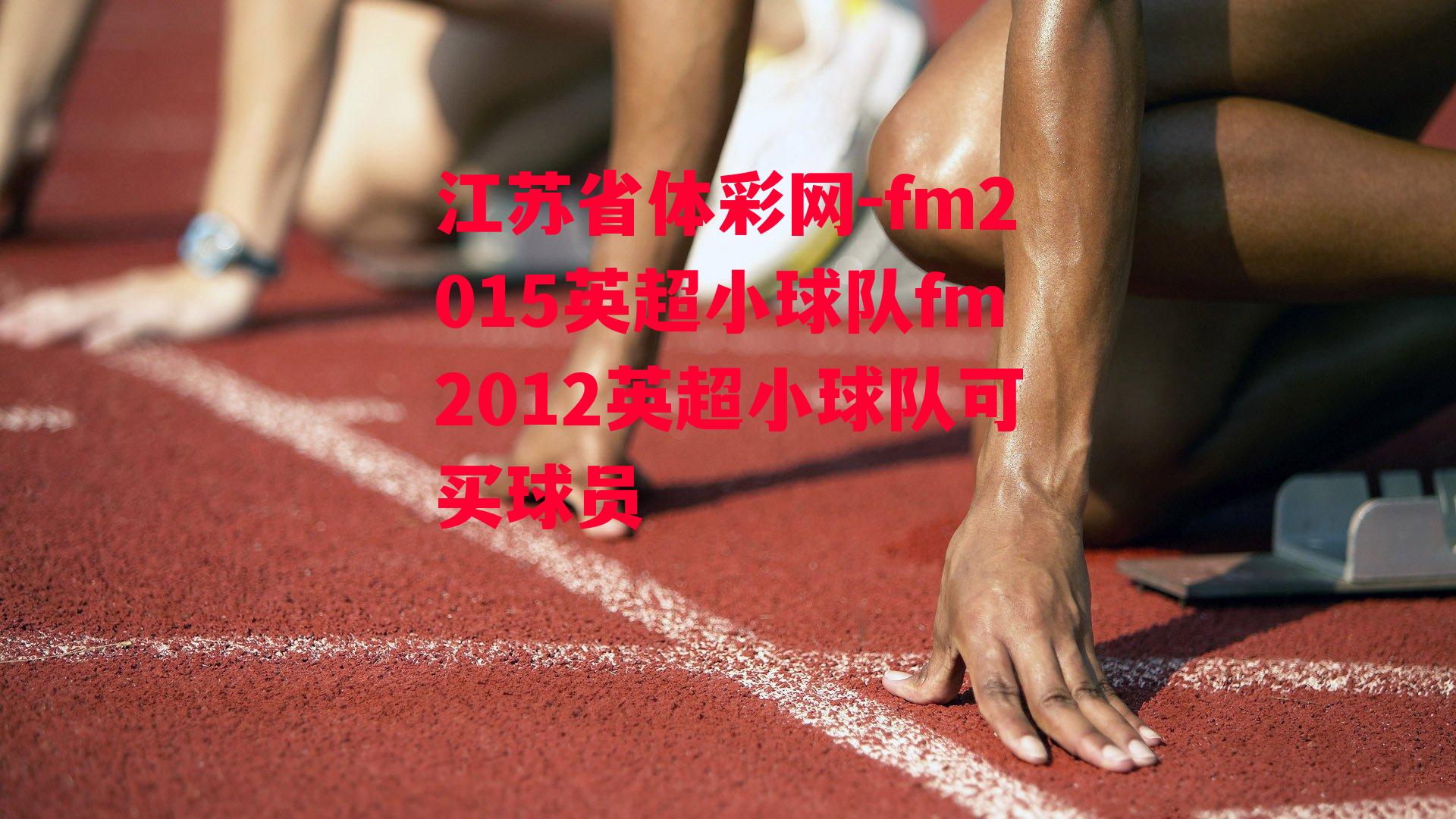 fm2015英超小球队fm2012英超小球队可买球员